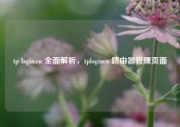 tp login.cn 全面解析，tplogincn 路由器管理页面
