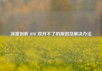 深度剖析 DNF 双开不了的原因及解决办法
