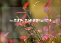 Win7系统下CF黑边的调整与去除方法