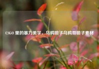 CSGO 里的暴力美学，乌鸦喷子乌鸦哥喷子素材