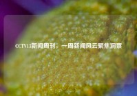 CCTV13新闻周刊，一周新闻风云聚焦洞察