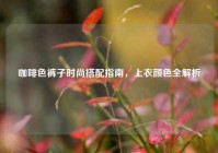 咖啡色裤子时尚搭配指南，上衣颜色全解析