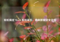 轻松搞定 Win10 系统备份，确保数据安全无忧