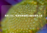 青禾 CSGO，电竞世界璀璨之星及青禾之意