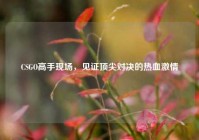 CSGO高手现场，见证顶尖对决的热血激情