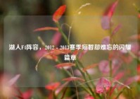 湖人F4阵容，2012 - 2013赛季短暂却难忘的闪耀篇章