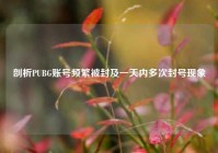 剖析PUBG账号频繁被封及一天内多次封号现象