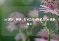 USB 限制，现状、影响及应对策略之 USB 限制模式