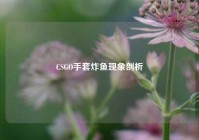 CSGO手套炸鱼现象剖析