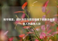 和平精英，团队协作与竞技碰撞下的复杂体验——有人热血有人厌