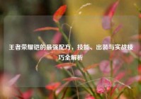 王者荣耀铠的最强配方，技能、出装与实战技巧全解析