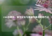 CSGO令牌转，探寻安全与便捷平衡及启用方法
