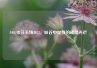 LOL卡莎至臻2022，峡谷中绽放的璀璨光芒