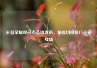 王者荣耀双形态英雄攻略，掌握切换技巧主宰战场