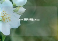 CSGO 里的神枪 Deagle