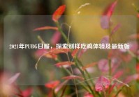 2021年PUBG日服，探索别样吃鸡体验及最新版