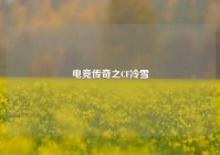 电竞传奇之CF冷雪