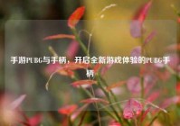 手游PUBG与手柄，开启全新游戏体验的PUBG手柄