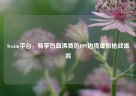 Steam平台，畅享热血沸腾的FPS边境虚拟枪战盛宴