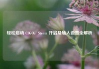 轻松启动 CSGO，Steam 开启及输入设置全解析