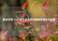 解决完美 CSGO 连不进去游戏的困扰及应对办法