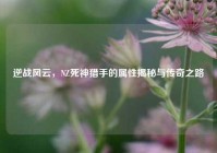 逆战风云，NZ死神猎手的属性揭秘与传奇之路