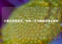大唐名将高仙芝，传奇一生与辉煌战绩全解析