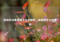 欧联杯决赛直播平台全解析，有哪些平台可观看