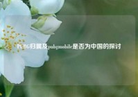 PUBG归属及pubgmobile是否为中国的探讨