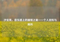 沙宝亮，音乐路上的璀璨之星——个人资料与简历
