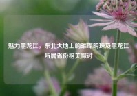 魅力黑龙江，东北大地上的璀璨明珠及黑龙江所属省份相关探讨