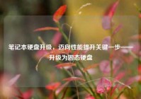 笔记本硬盘升级，迈向性能提升关键一步——升级为固态硬盘