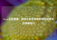 Steam主机销量，游戏主机市场中的独特风景及总销量排行
