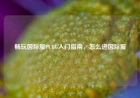 畅玩国际服PUBG入门指南，怎么进国际服