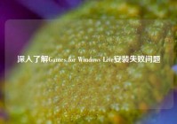 深入了解Games for Windows Live安装失败问题