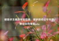 绝地求生端游举报指南，维护游戏公平环境，教你如何举报pubg
