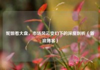 妮姐看大盘，市场风云变幻下的深度剖析（新浪博客）