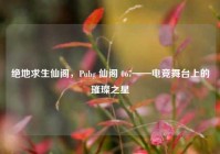 绝地求生仙阁，Pubg 仙阁 067——电竞舞台上的璀璨之星