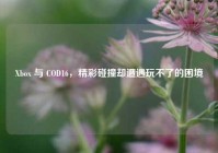 Xbox 与 COD16，精彩碰撞却遭遇玩不了的困境