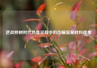 逆战桦树时代热血征程中的诈骗报案材料样本