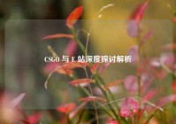 CSGO 与 E 站深度探讨解析