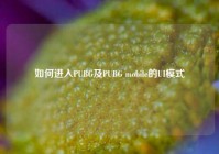 如何进入PUBG及PUBG mobile的UI模式