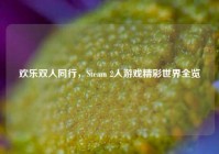 欢乐双人同行，Steam 2人游戏精彩世界全览
