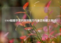 CSGO骷髅手套的独特魅力与是否和谐之探讨