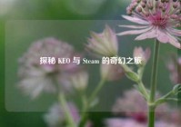 探秘 KEO 与 Steam 的奇幻之旅