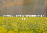 CSGO 单服役，独特游戏体验与竞技追求的单兵之旅