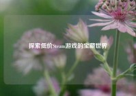 探索低价Steam游戏的宝藏世界