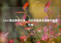 CSGO 精品画质设置，开启极致视觉盛宴的最佳方案
