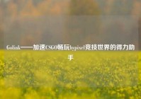 Golink——加速CSGO畅玩hypixel竞技世界的得力助手