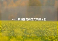 CSGO 战场回荡的英文天籁之名